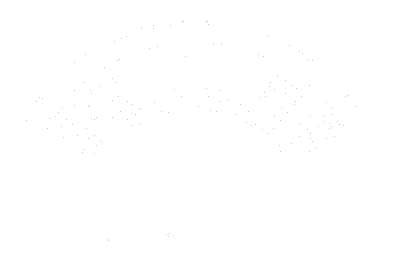 New Service